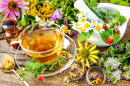 Cup of Herbal Tea, Wild Flowers and Berries