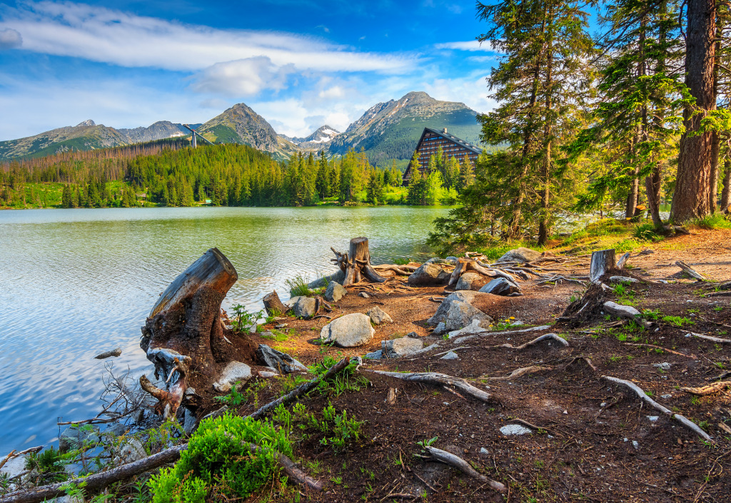 Mountain Lake in the High Tatras, Slovakia jigsaw puzzle in Great Sightings puzzles on TheJigsawPuzzles.com