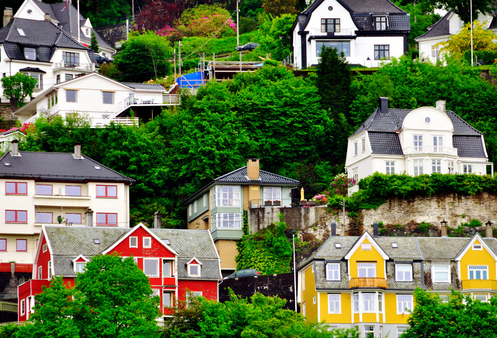 Logement entre les arbres à Bergen norvégien jigsaw puzzle in Paysages urbains puzzles on TheJigsawPuzzles.com