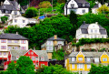 Housing Between Trees in Norwegian Bergen