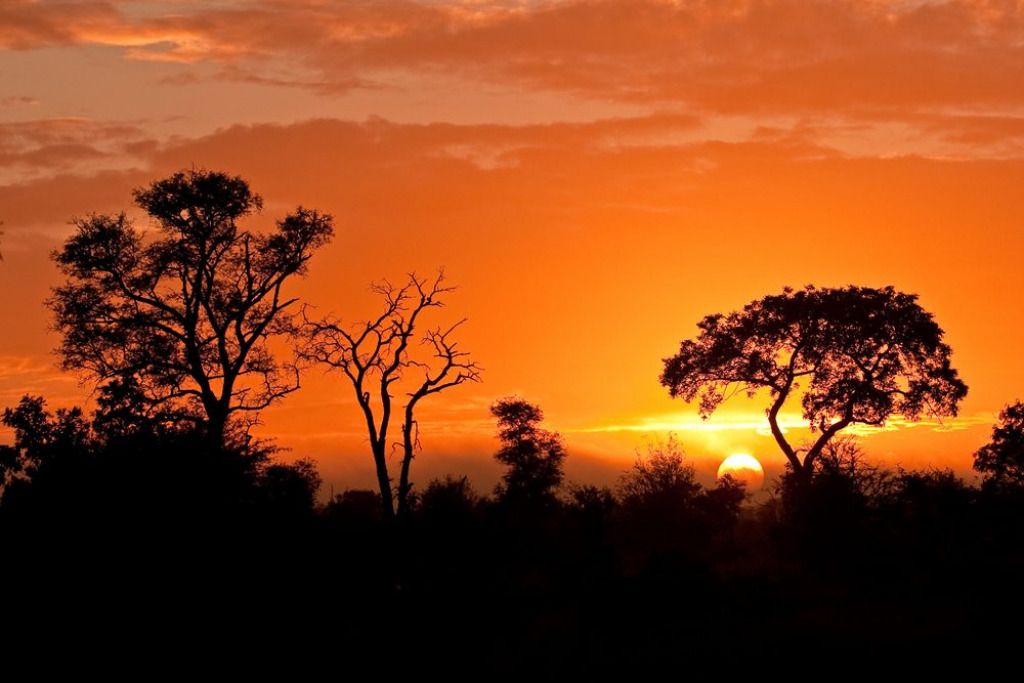 Kruger National Park sunset jigsaw puzzle in Marvin Mullin puzzles on TheJigsawPuzzles.com