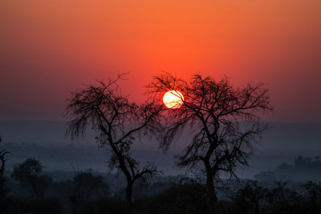 Kruger National Park sun setting jigsaw puzzle in Marvin Mullin puzzles on TheJigsawPuzzles.com