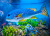 Colorful Fishes Swimming in the Aquarium