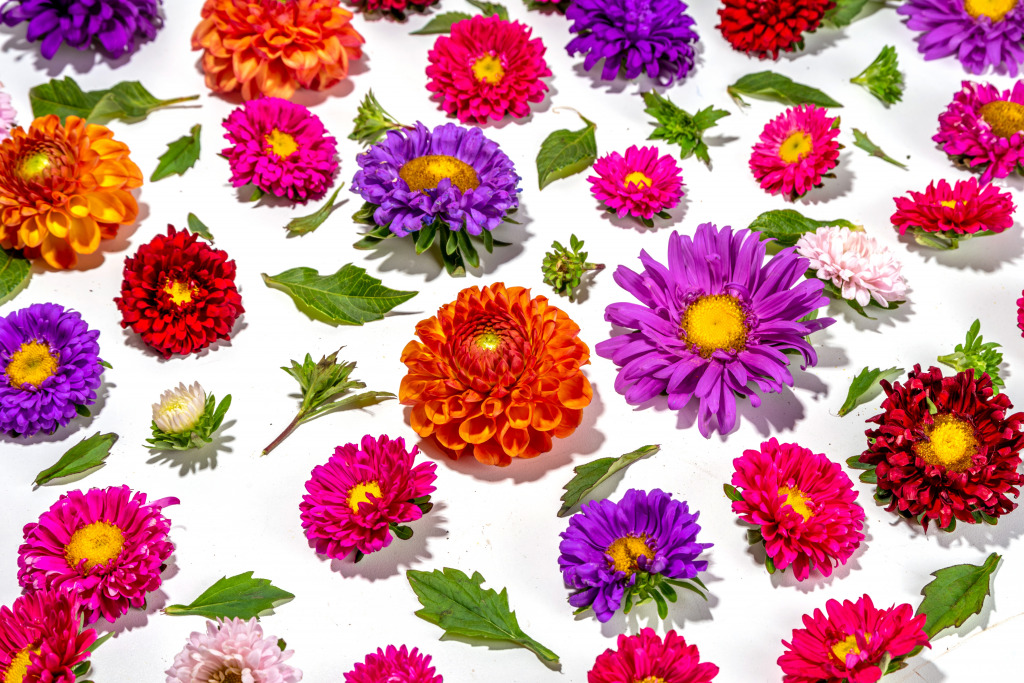 Colorful Flowers on White Background jigsaw puzzle in Flowers puzzles on TheJigsawPuzzles.com