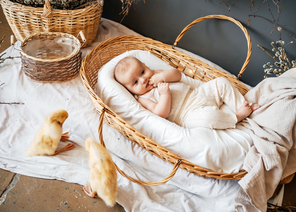Baby in a Wicker Basket and Goslings jigsaw puzzle in Puzzle of the Day puzzles on TheJigsawPuzzles.com