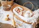 Baby in a Wicker Basket and Goslings