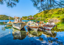 Fishing Boats in Marmaris, Turkey