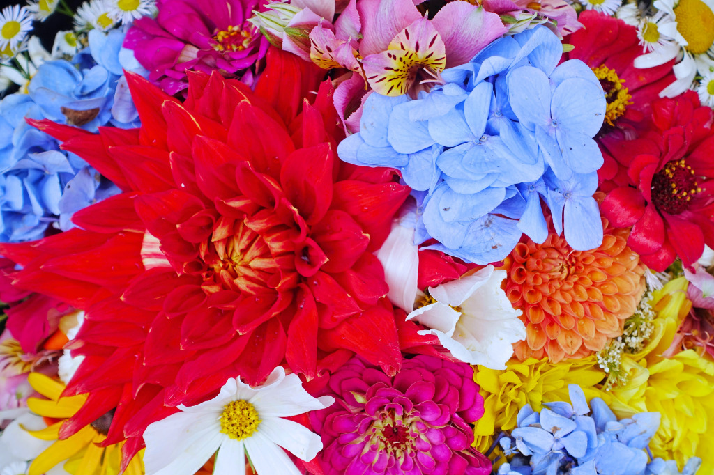 Colorful Fresh Flowers jigsaw puzzle in Flowers puzzles on TheJigsawPuzzles.com