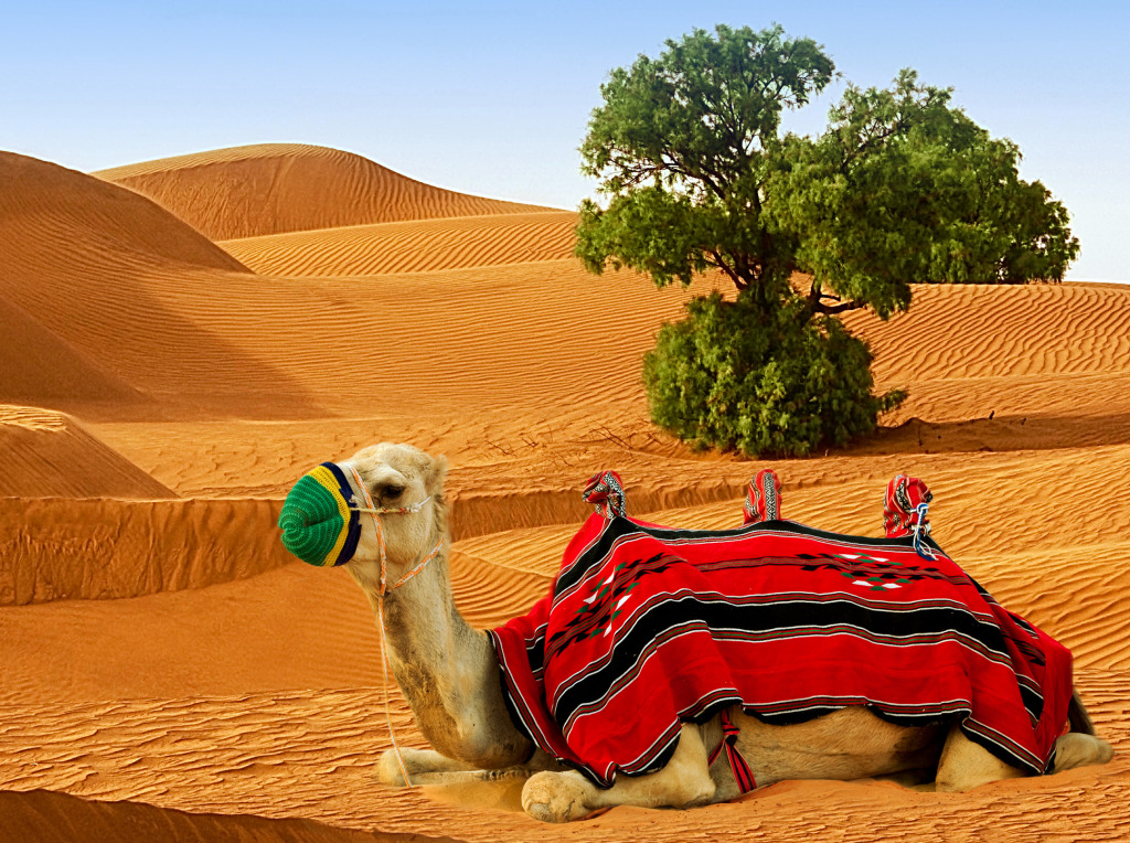 Camel on the Sand Dunes jigsaw puzzle in Animals puzzles on TheJigsawPuzzles.com