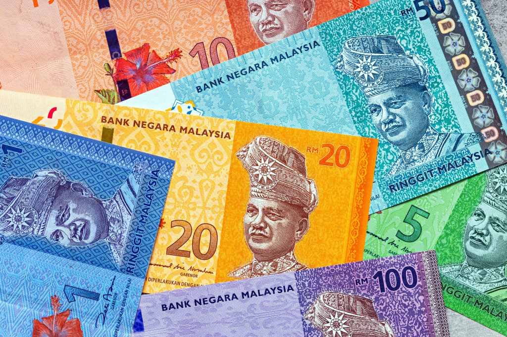 Malaysischer Ringgit jigsaw puzzle in Makro puzzles on TheJigsawPuzzles.com