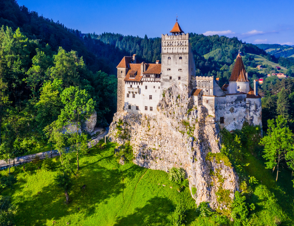 Die mittelalterliche Burg von Bran jigsaw puzzle in Schlösser puzzles on TheJigsawPuzzles.com