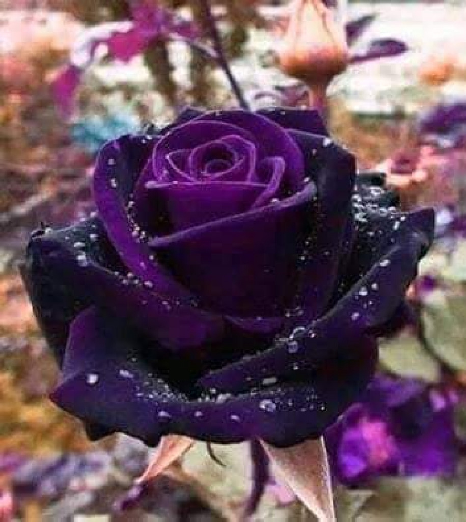 FB_IMG_1594101220107 jigsaw puzzle in Keli Jones puzzles on TheJigsawPuzzles.com