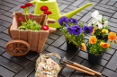 Flowers and Gardening Tools