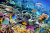 Coral Reef with Fishes in Egypt