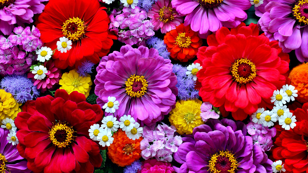 Rote und lila Gartenblumen jigsaw puzzle in Blumen puzzles on TheJigsawPuzzles.com
