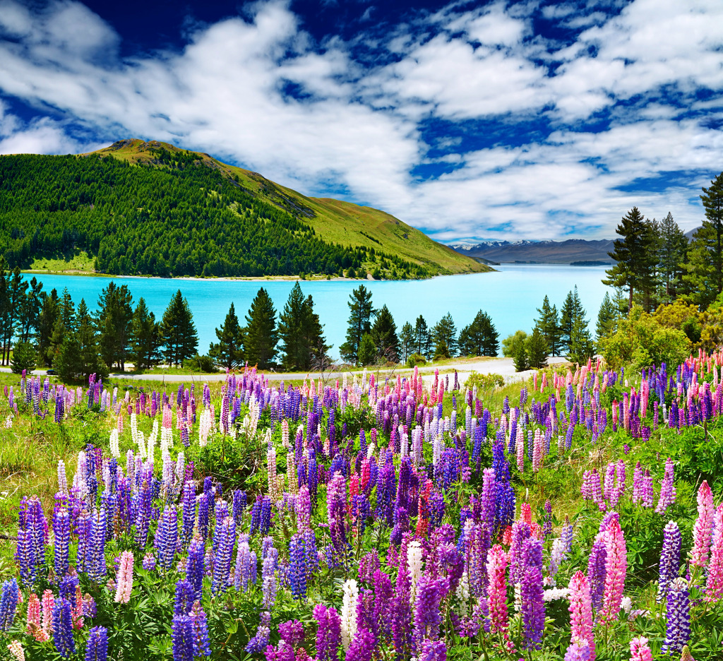 Landscape with Lake and Flowers jigsaw puzzle in Great Sightings puzzles on TheJigsawPuzzles.com
