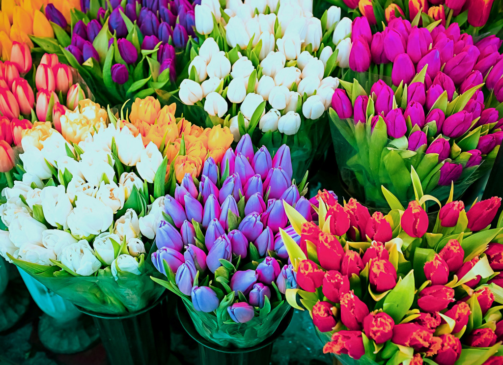 Bouquets of Tulips jigsaw puzzle in Flowers puzzles on TheJigsawPuzzles.com
