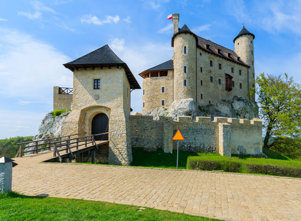 Mittelalterliche Burg in Bobolice, Polen jigsaw puzzle in Schlösser puzzles on TheJigsawPuzzles.com