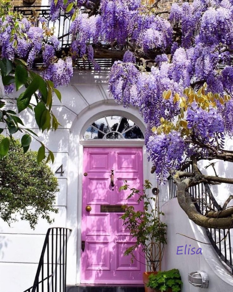 Pink door & wisteria by Elisa jigsaw puzzle in Theresa Stephens puzzles on TheJigsawPuzzles.com