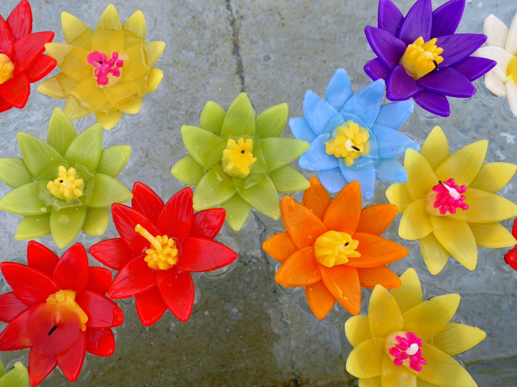 Velas coloridas da flor na água jigsaw puzzle in Flores puzzles on TheJigsawPuzzles.com