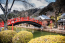 Bridge in Edo Wonderland, Japan