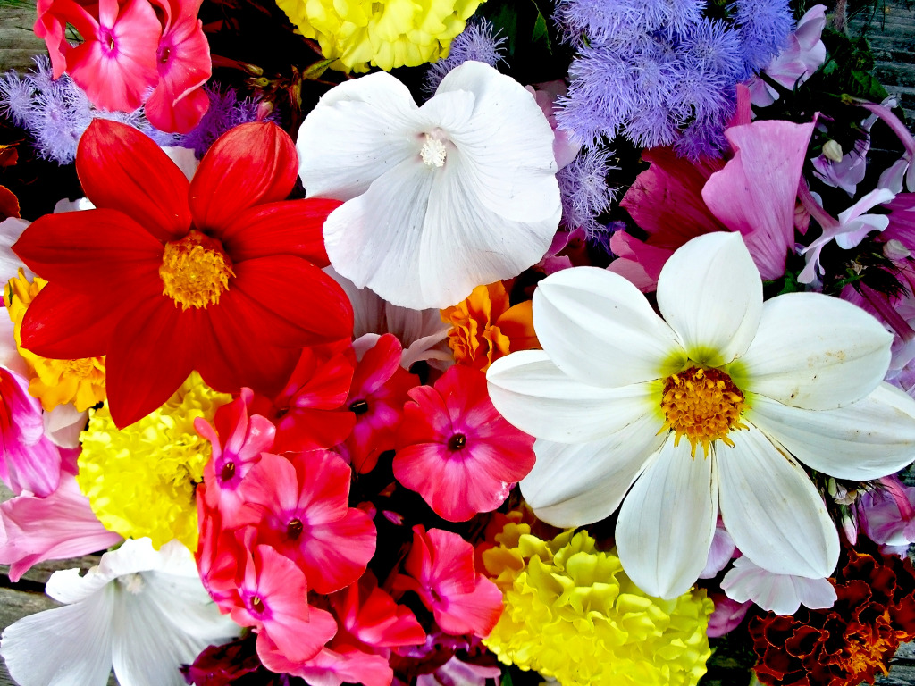 Bright Summer Flowers jigsaw puzzle in Flowers puzzles on TheJigsawPuzzles.com