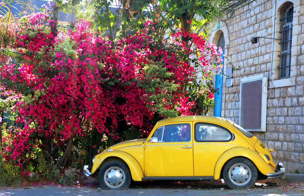 Yellow Volkswagen Beetle, Nazareth, Israel jigsaw puzzle in Cars & Bikes puzzles on TheJigsawPuzzles.com