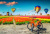 Hot Air Balloons over Tulip Fields