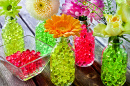 Flowers in Vases and Hydro Bubbles