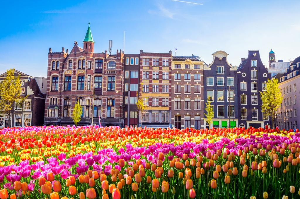 Старинные здания и тюльпаны в Амстердаме jigsaw puzzle in Цветы puzzles on TheJigsawPuzzles.com