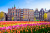 Old Buildings and Tulips in Amsterdam