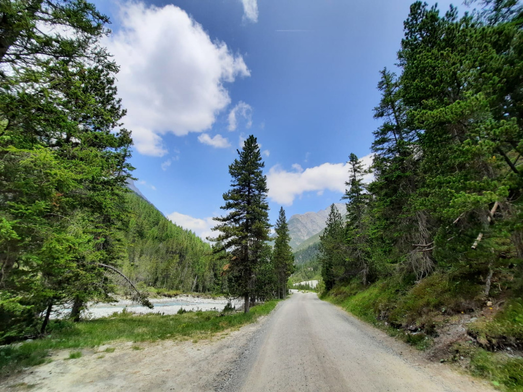 Natur pur in den Schweizeralpen jigsaw puzzle in Martha Gabriel puzzles on TheJigsawPuzzles.com