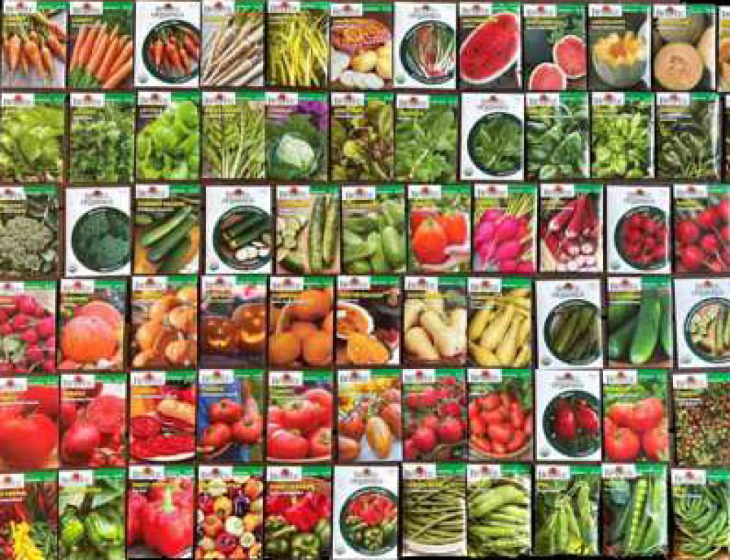 Garden Seeds jigsaw puzzle in Carolyn Cordell puzzles on TheJigsawPuzzles.com