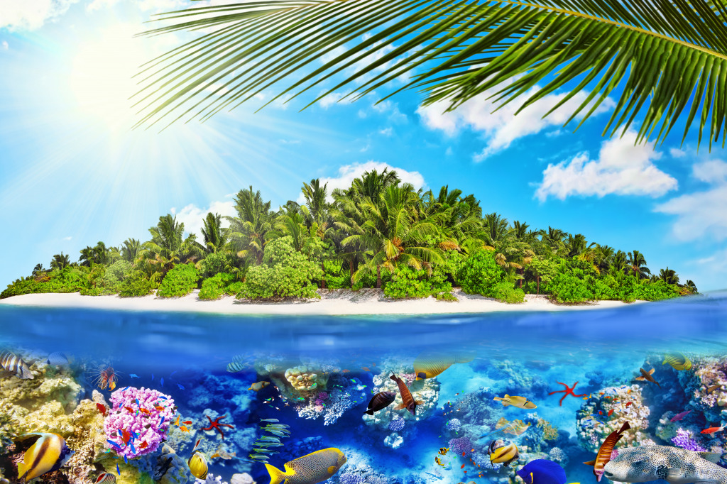 Тропический остров, кораллы и тропические рыбы jigsaw puzzle in Подводный мир puzzles on TheJigsawPuzzles.com