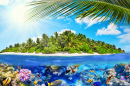 Tropical Island, Corals and Fish