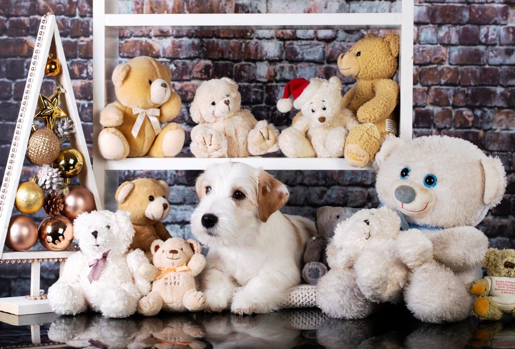 Jack Russell Terrier Puppy among Teddy Bears jigsaw puzzle in Animals puzzles on TheJigsawPuzzles.com