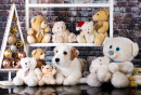 Jack Russell Terrier Puppy among Teddy Bears