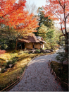 Autumn in Kyoto