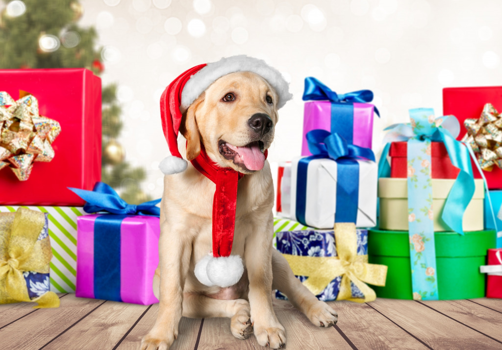 Cute Dog and Christmas Presents jigsaw puzzle in Christmas & New Year puzzles on TheJigsawPuzzles.com