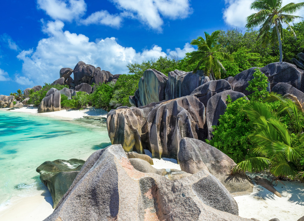 Beach on La Digue Island, Seychelles jigsaw puzzle in Great Sightings puzzles on TheJigsawPuzzles.com