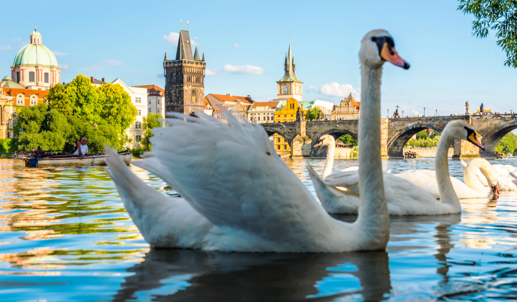 Charles Bridge and Vltava River in Prague jigsaw puzzle in Animals puzzles on TheJigsawPuzzles.com