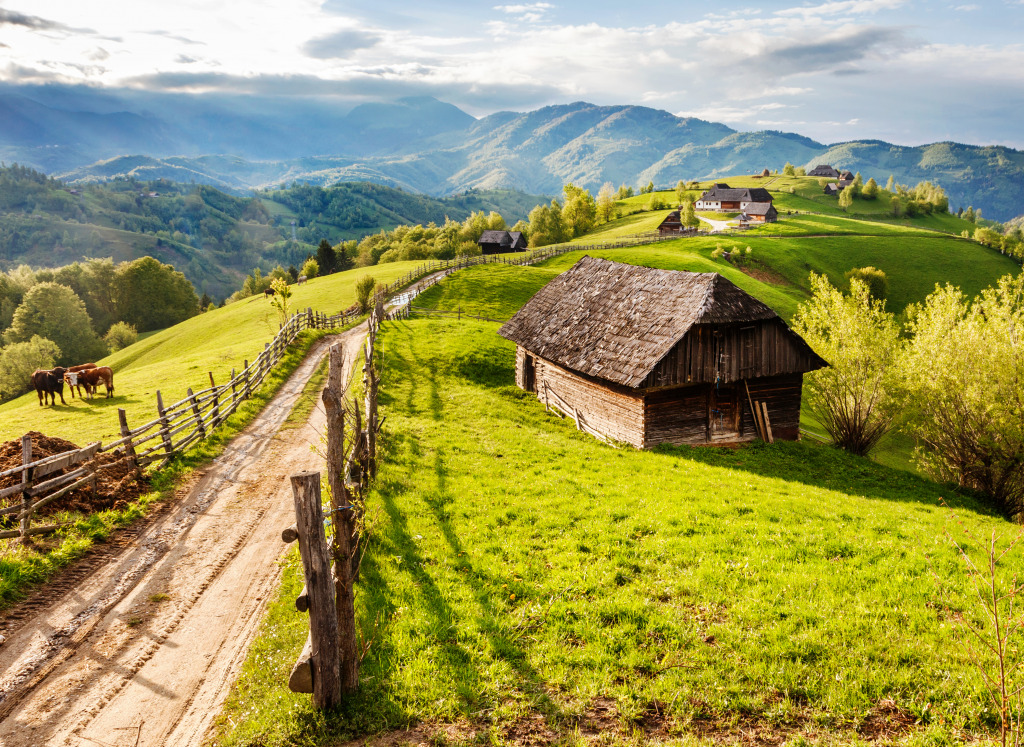 Mountain Farm in Transylvania jigsaw puzzle in Great Sightings puzzles on TheJigsawPuzzles.com