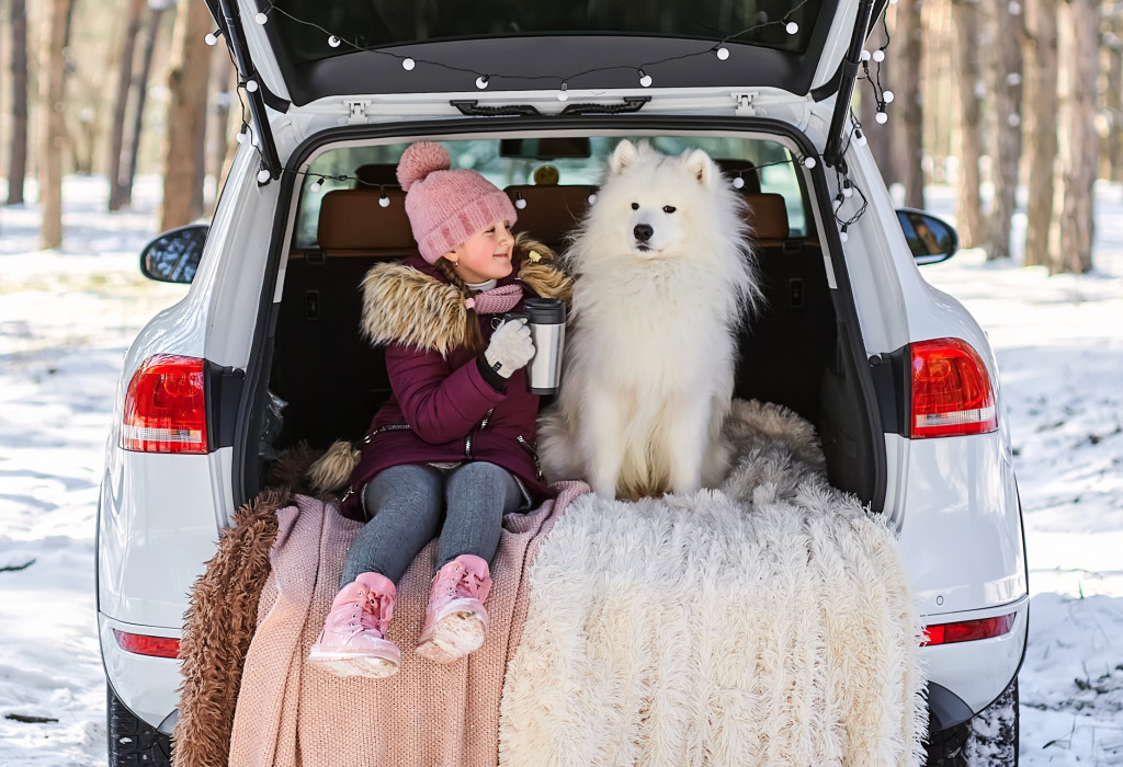 A Girl with a White Samoyed Dog jigsaw puzzle in Puzzle of the Day puzzles on TheJigsawPuzzles.com