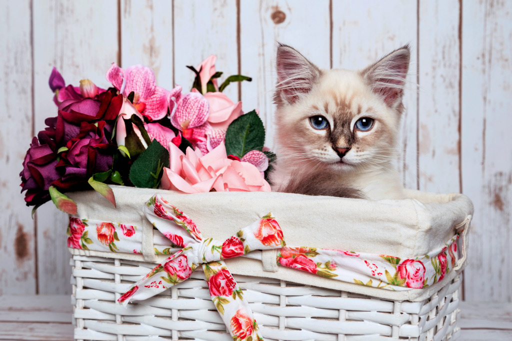 Siberian Kitten in a Flower Basket jigsaw puzzle in Animals puzzles on TheJigsawPuzzles.com