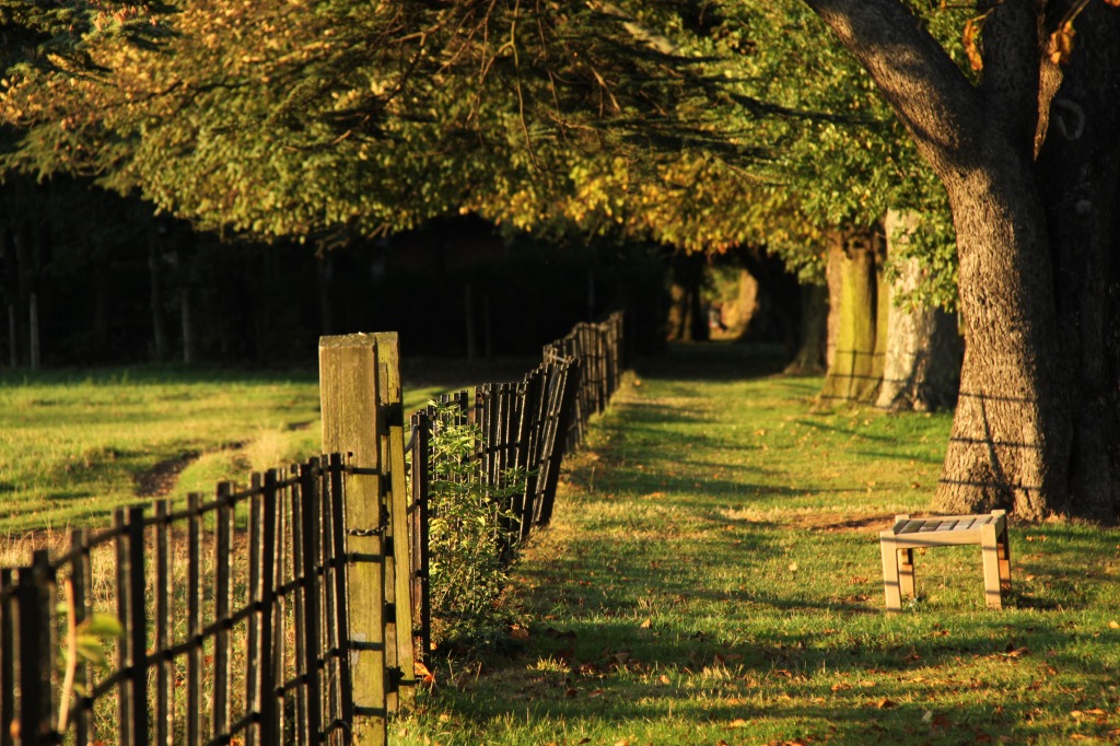 Autumn in Osterley Park, London jigsaw puzzle in Great Sightings puzzles on TheJigsawPuzzles.com
