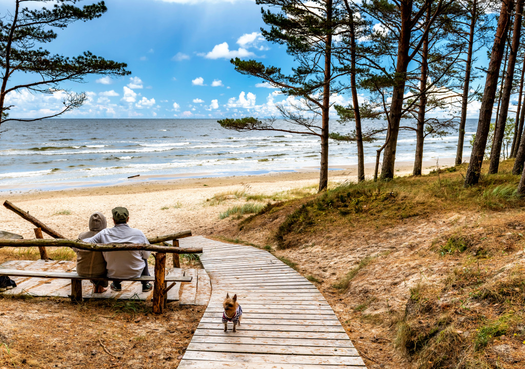 A Couple Resting at the Beach jigsaw puzzle in Great Sightings puzzles on TheJigsawPuzzles.com