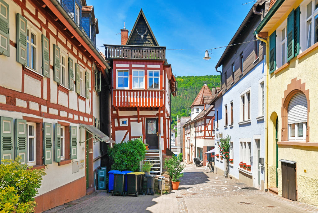 Narrow Street in Mosbach, Germany jigsaw puzzle in Street View puzzles on TheJigsawPuzzles.com