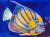 Ocean Fish Painting