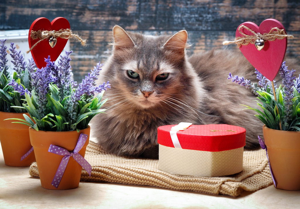 Beautiful Cat Among Flowers and Hearts jigsaw puzzle in Valentine's Day puzzles on TheJigsawPuzzles.com