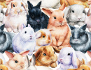 Many Bunnies